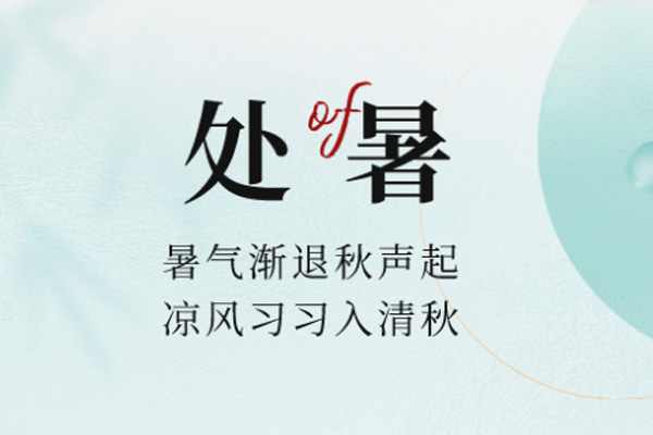 1724349039180089.jpg 4.jpg